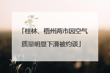 桂林、梧州两市因空气质量明显下滑被约谈